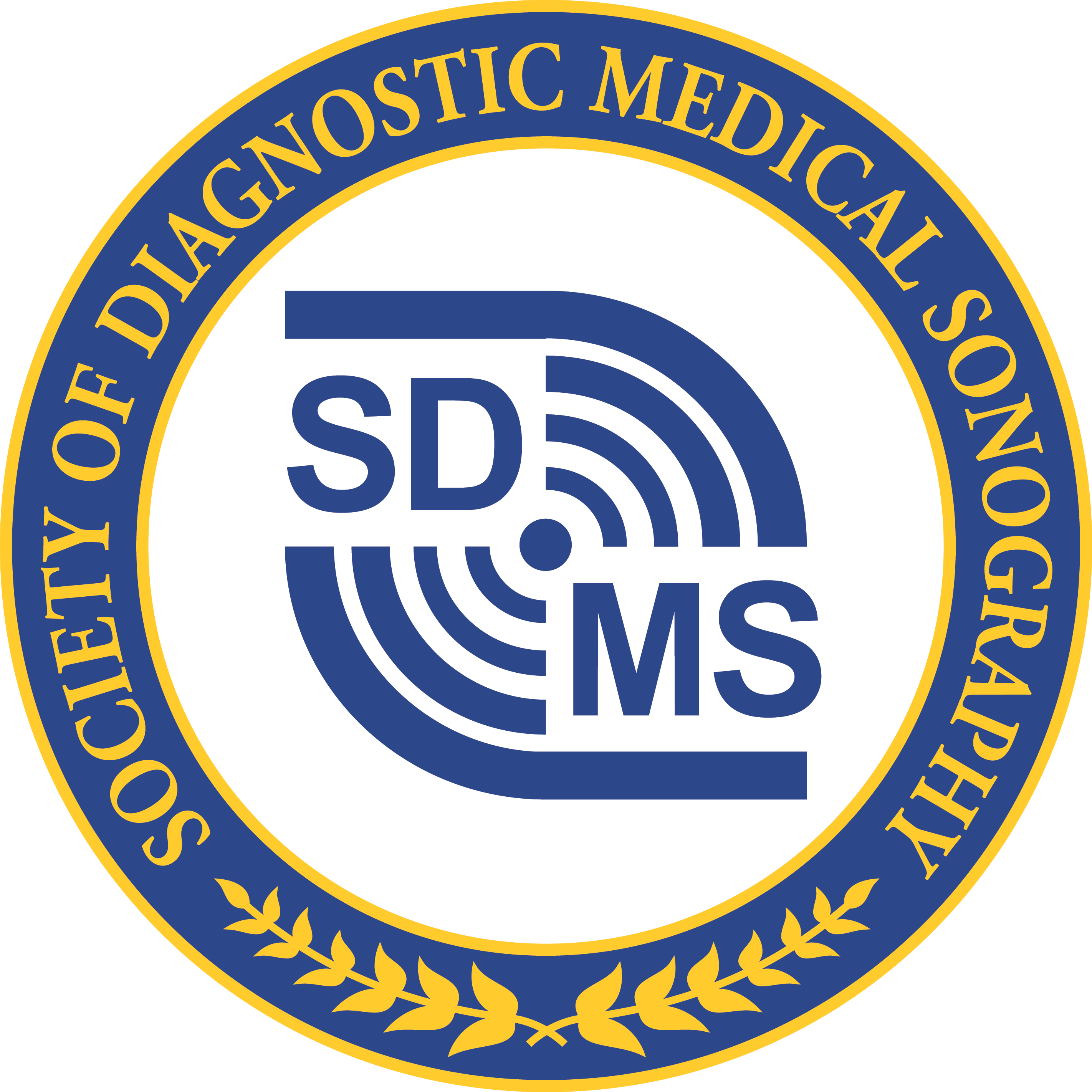 2021 SDMS Spring Virtual Conference IAC